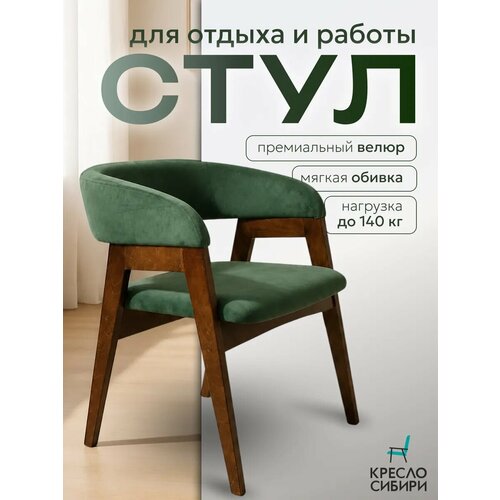 Стулья для кухни и гостинной Кресло Сибири