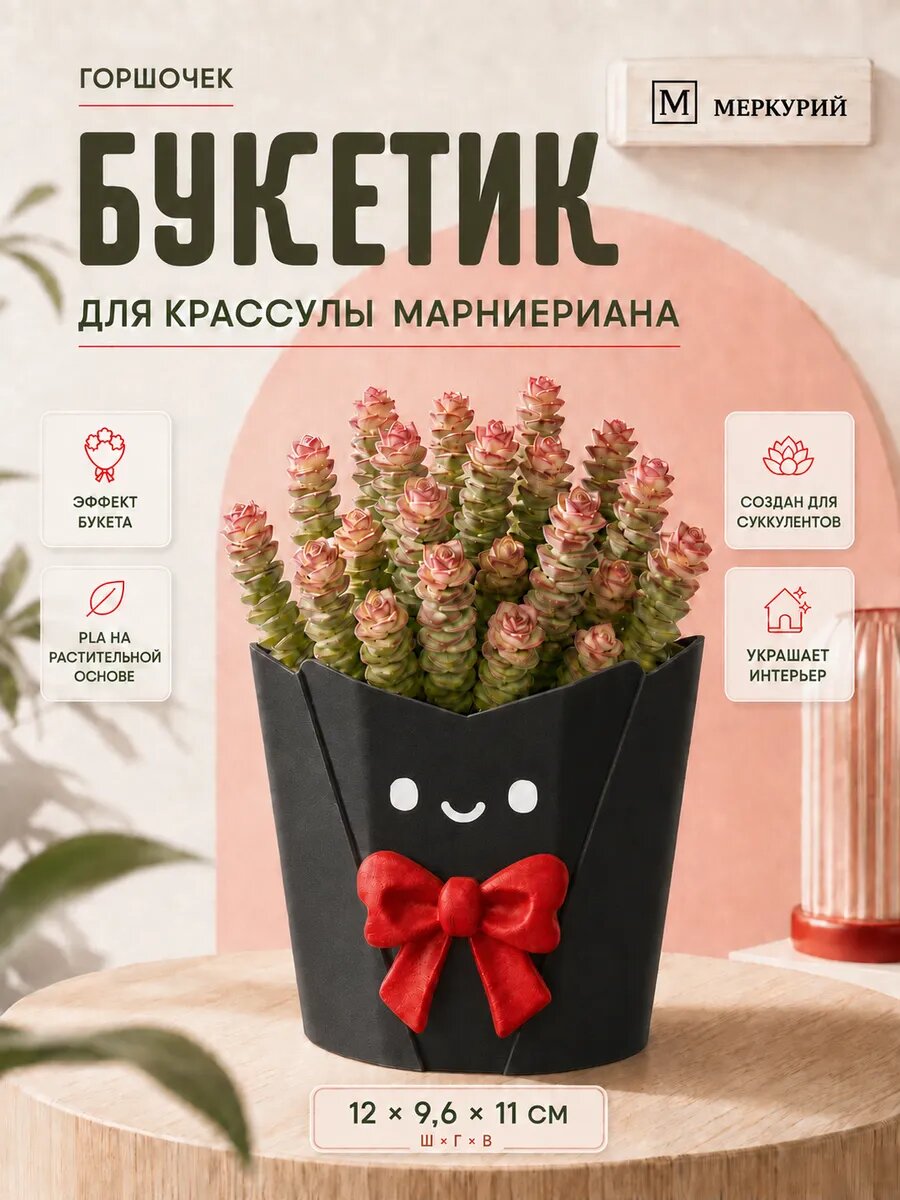 Горшок для цветов кактусов алое и суккулентов
