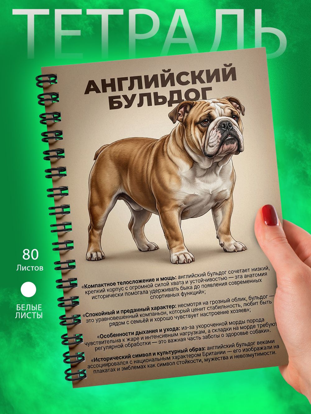Тетрадь - А5 - Английский бульдог