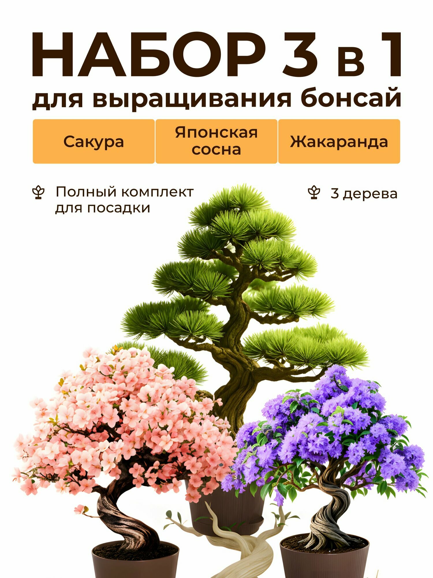 Бонсай набор для выращивания растений Сосна Сакура Жакаранда