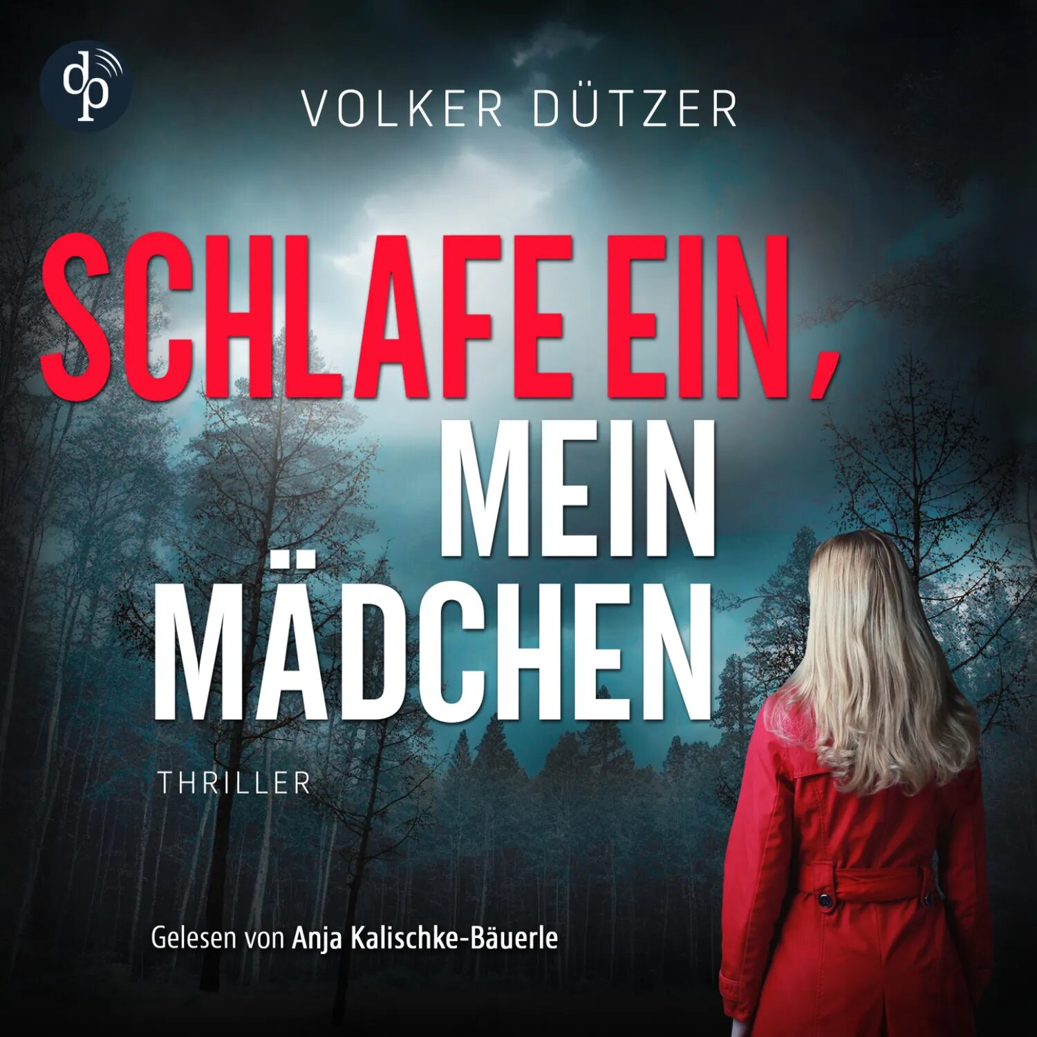 Schlafe ein, mein Mädchen - Funke & Stein ermitteln, Band 2 (Ungekürzt) [Аудиокнига]