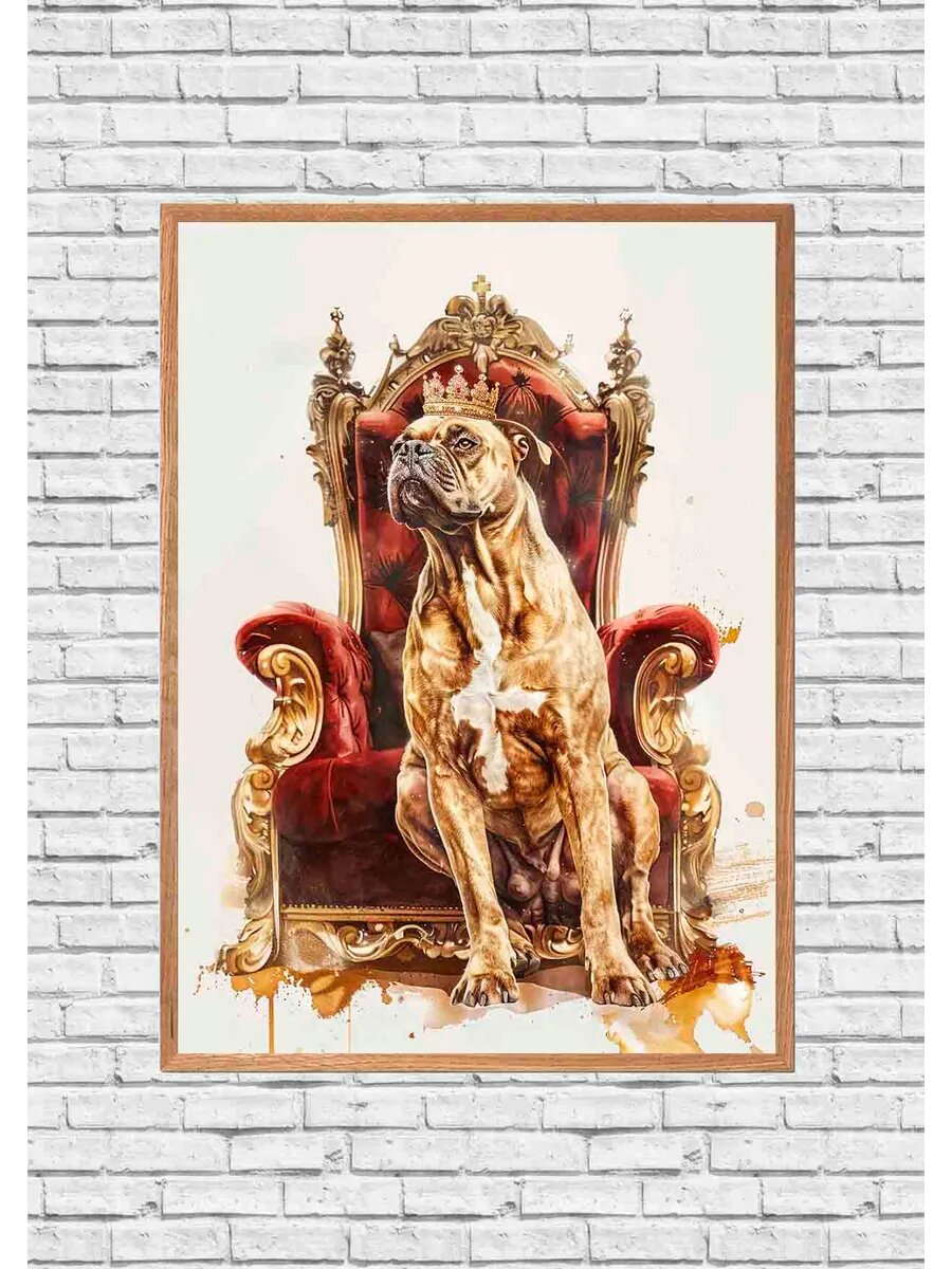 Собака Кане корсо Английская королева 3, Плакат 30x42см