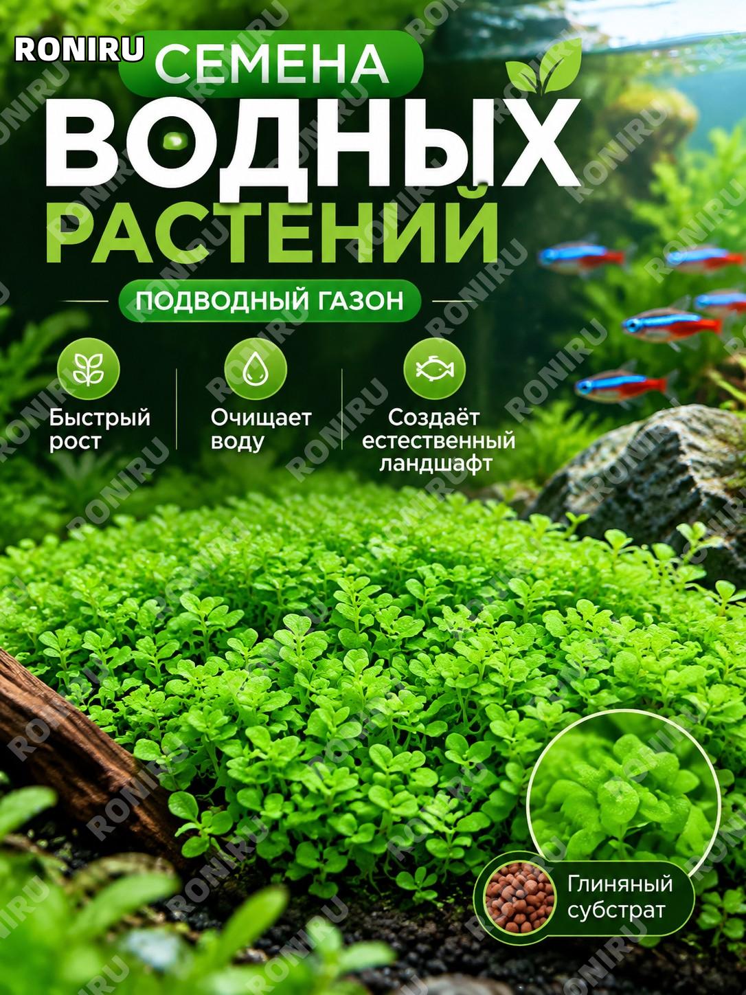 Семена малой аквариумной травы, 1 упаковка около 4888 семян, для аквариума и акваскейпа с мелкой растительностью