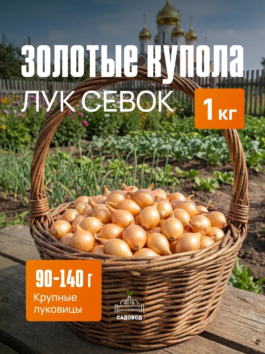 Лук севок Золотые купола 1 кг на посадку осенью