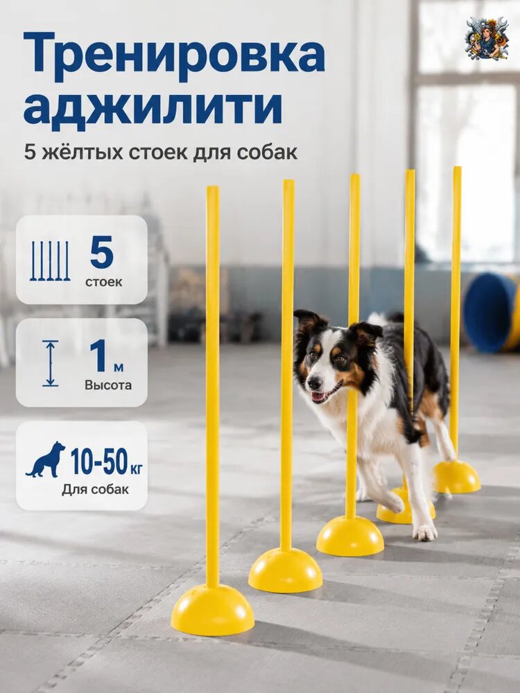 Комплект слаломных стоек для дрессировки собак, 5 шт, высота 1 м, утяжеляемые основания для аджилити