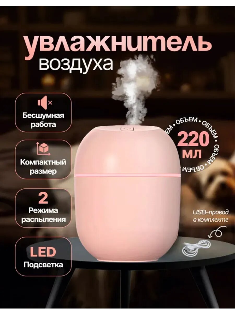 Увлажнитель воздуха мини для дома бесшумный лица