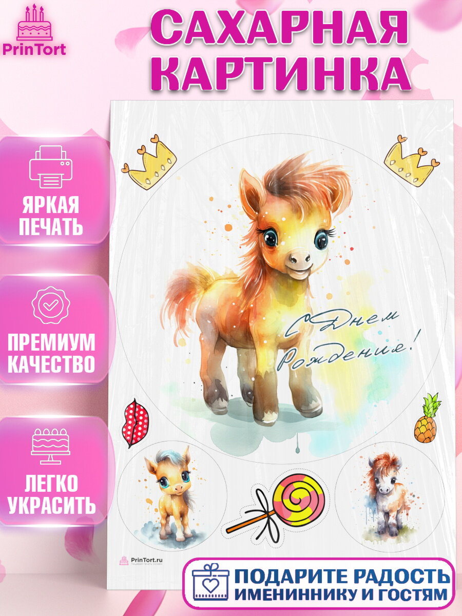 Сахарная картинка для торта Пони. Украшения для торта девочке на День Рождения. Декор для выпечки PrinTortPT117073