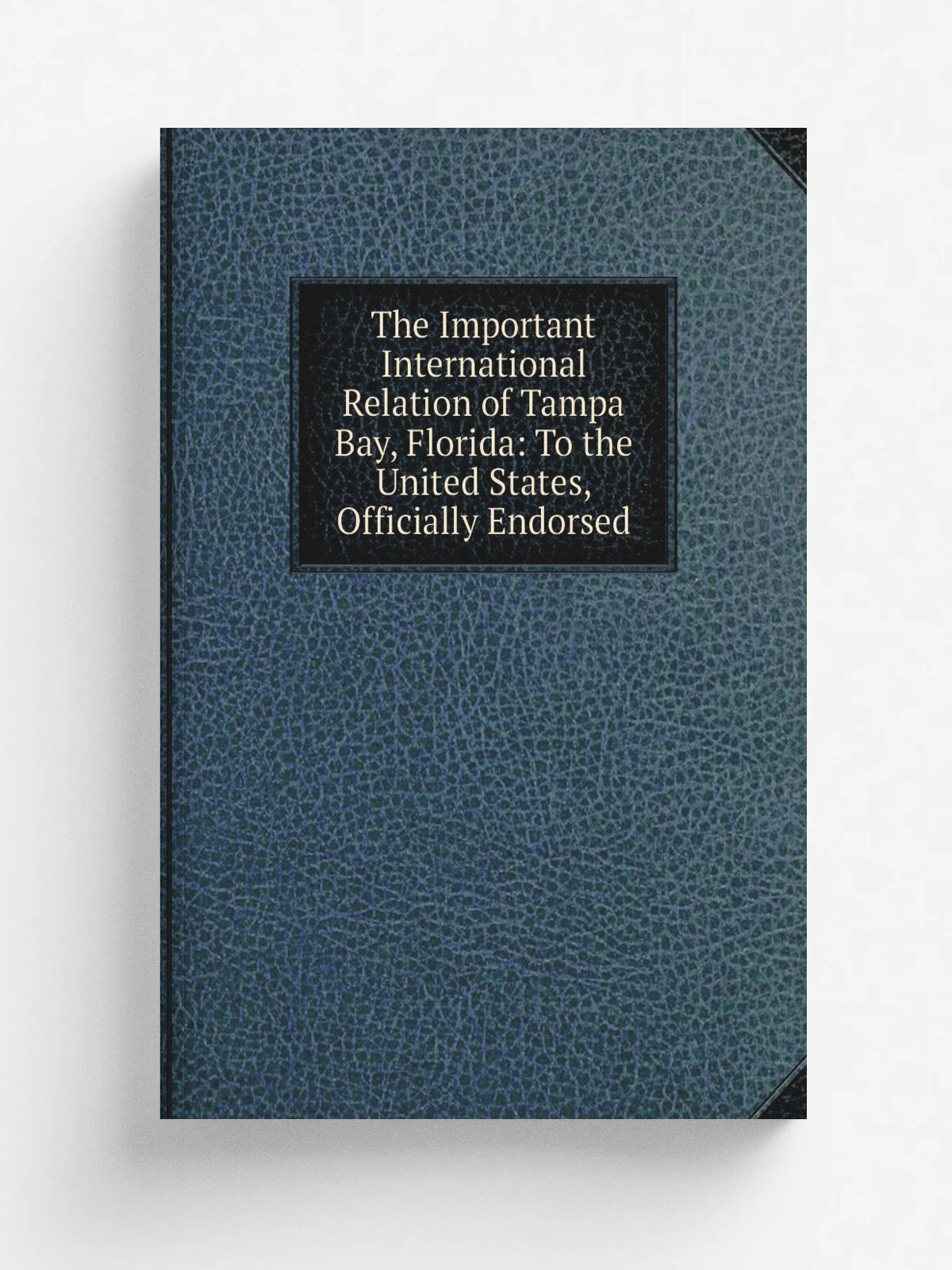 The Important International Relation of Tampa Bay, Florida: To the United States, Officially Endorsed