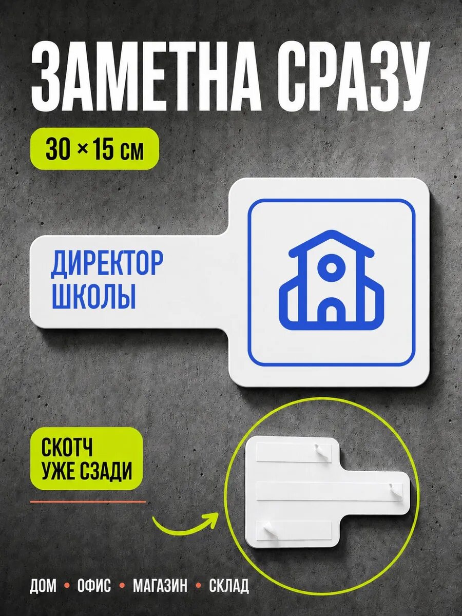 Табличка Директор школы 30×15 см, синяя, синий, PETG, на двустороннем скотче