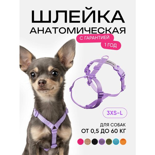 фото Шлейка для кошек и собак мелких пород анатомическая, размер xxs, светоотражающая, фиолетовый procomfort