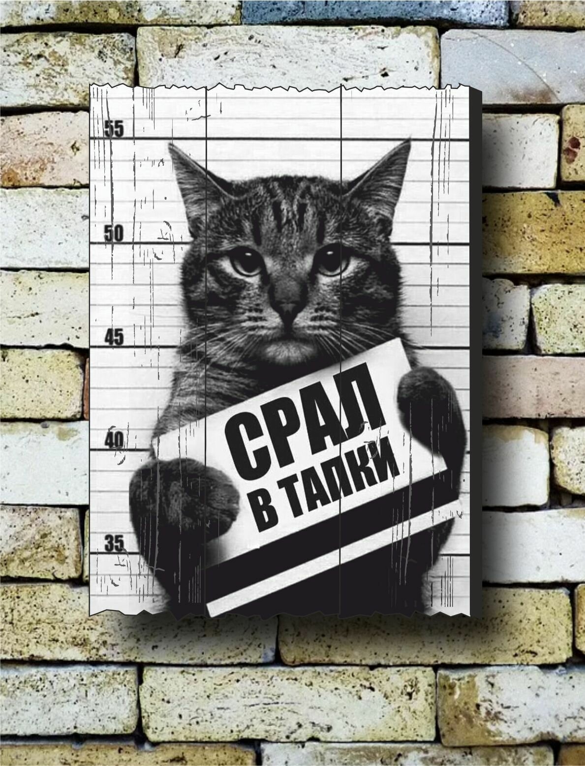 Картина на досках "Кот криминал. Котик."