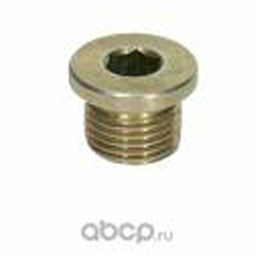 Болт : Пробка сливная поддона двиг.(фаб.) aze, ame VAG N 0160281