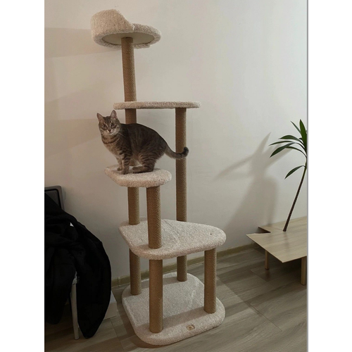 фото Игровой комплекс для кошек, моя котя, "достучаться до небес", белый ковролин и джут