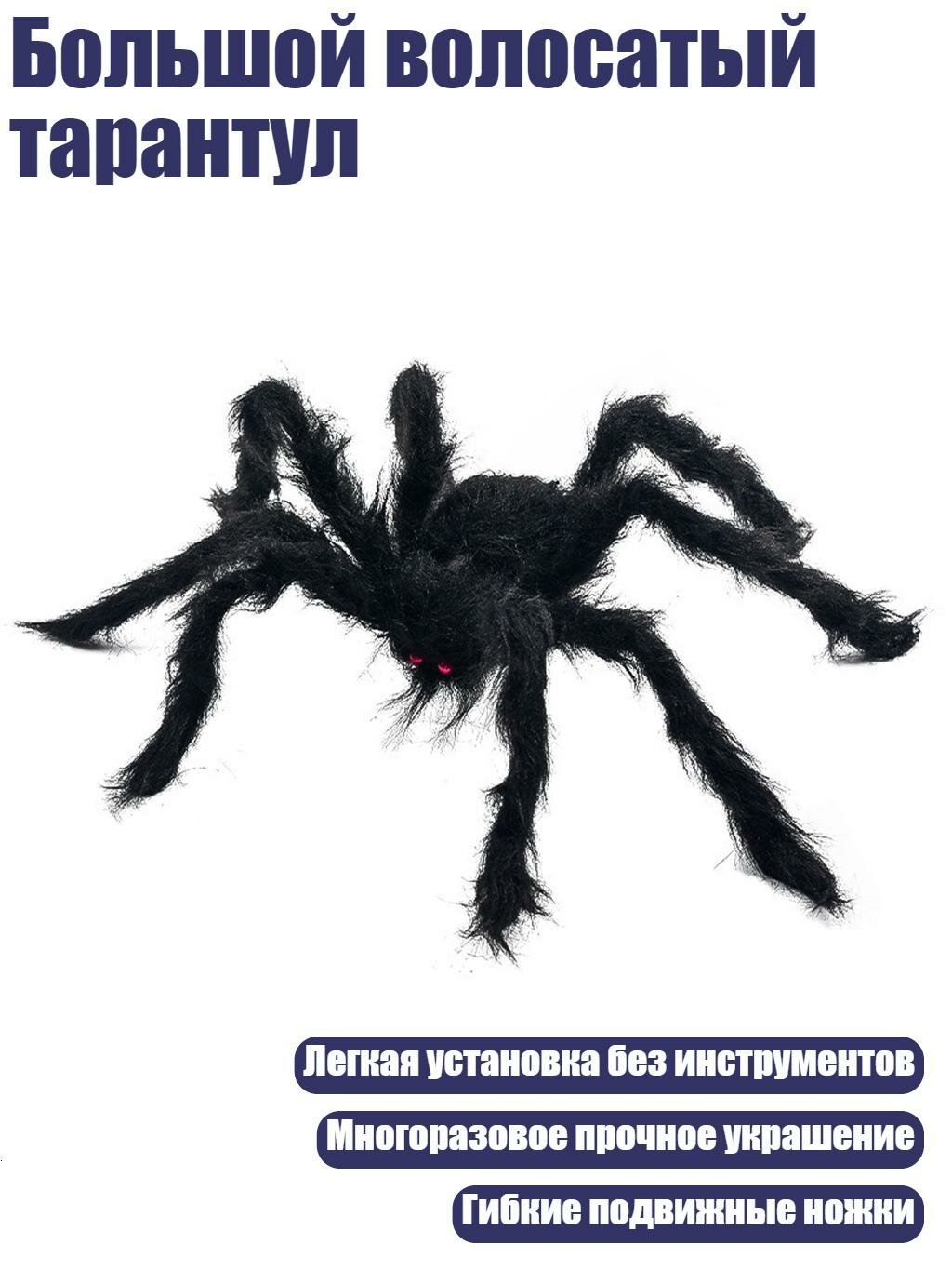 Большой волосатый тарантул, Черный - 2