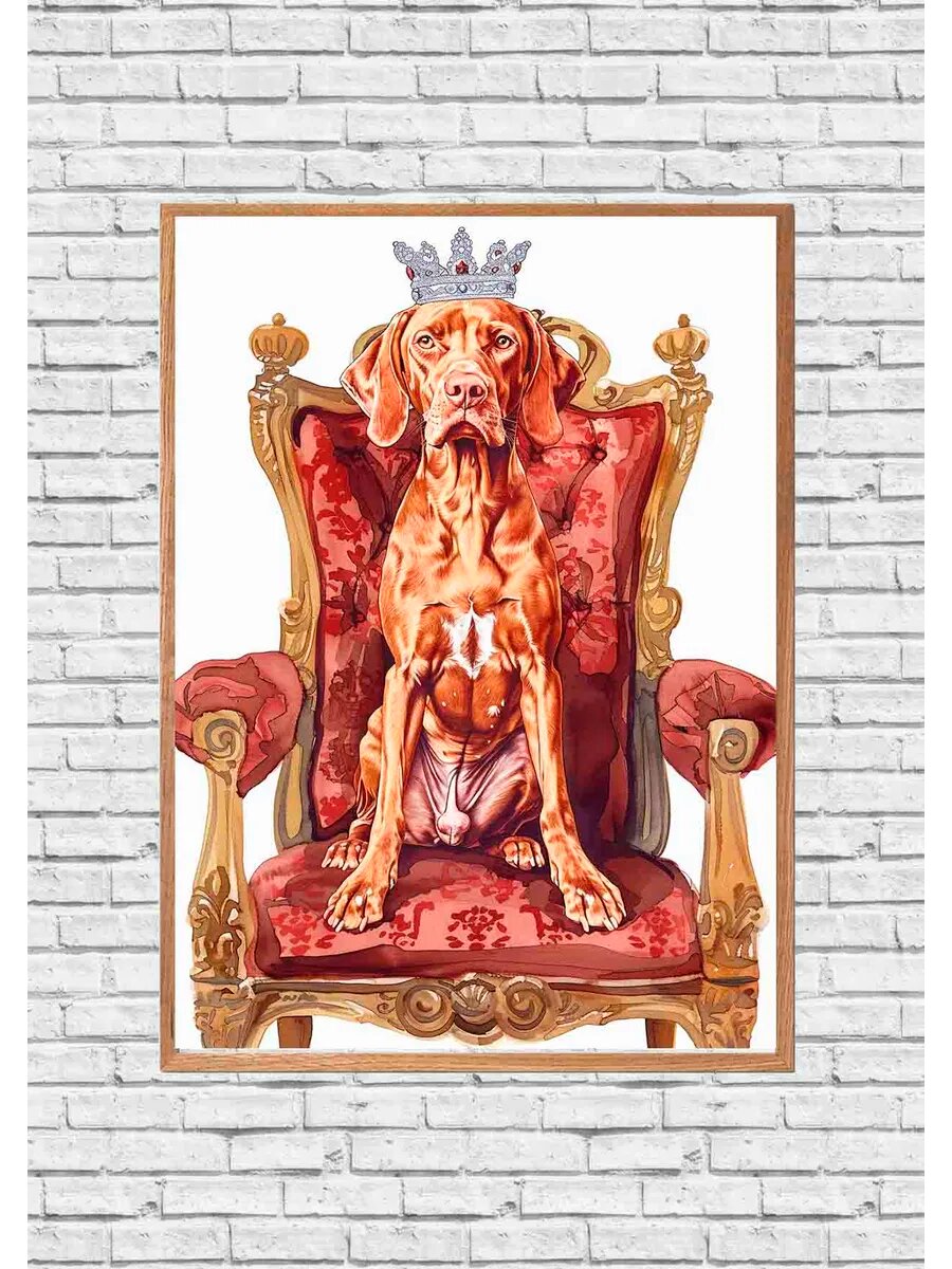 Собака Визсла, король Англии 2, Плакат 30x42см