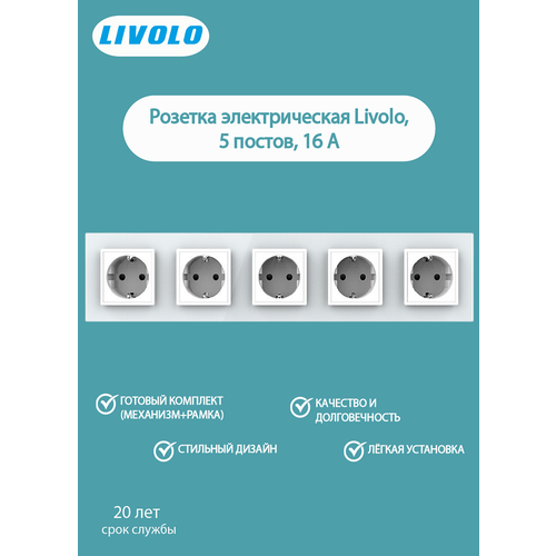 фото Розетка пятипостовая внутренняя с заземлением livolo