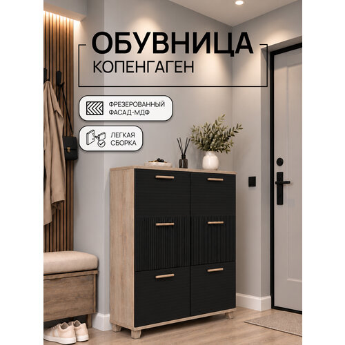 Обувница Копенгаген 6 ящиков ЛДСП Дуб сонома / МДФ Черный матовый 100х40х95