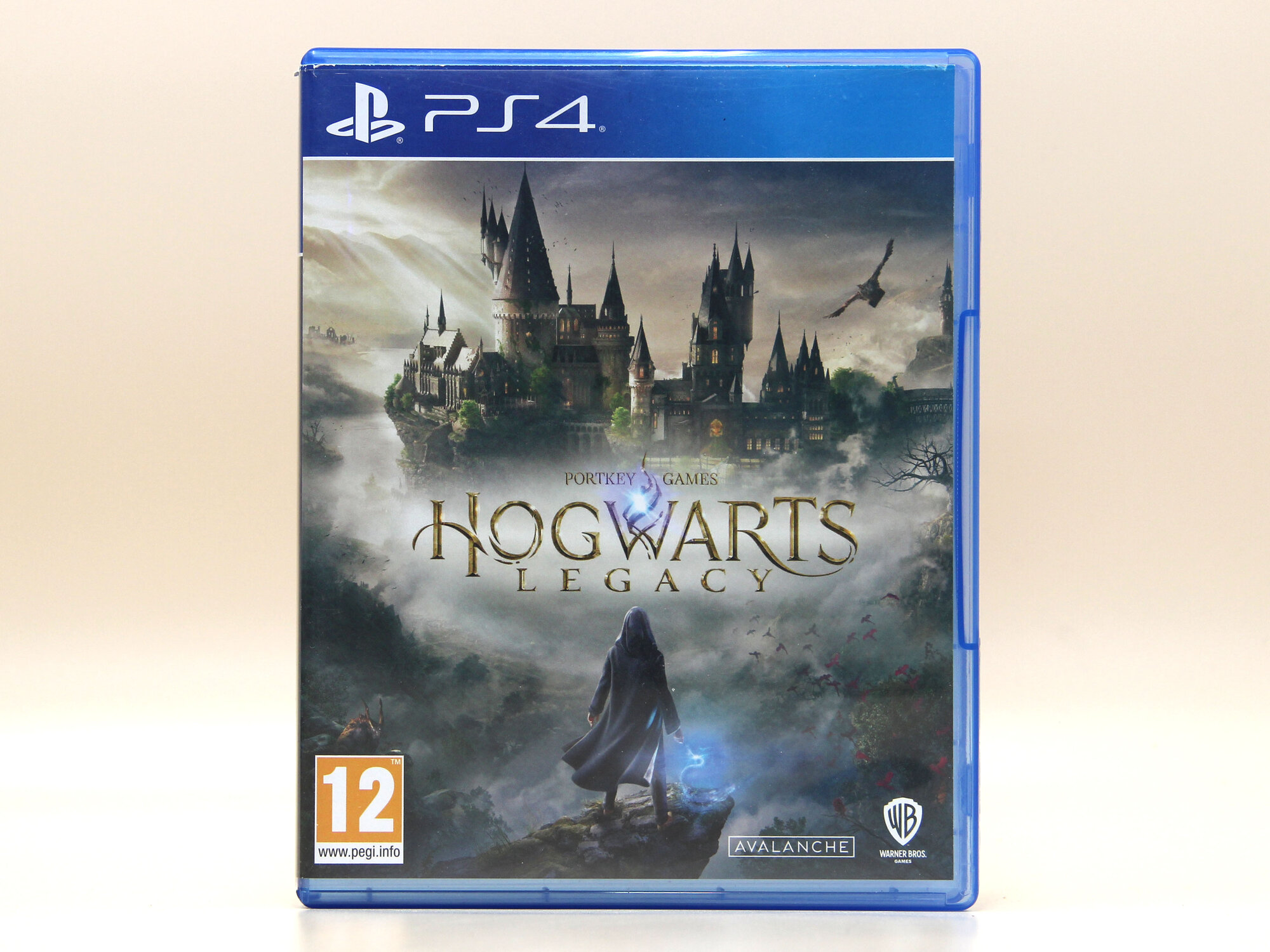 Hogwarts Legacy (PS4/PS5, RU)