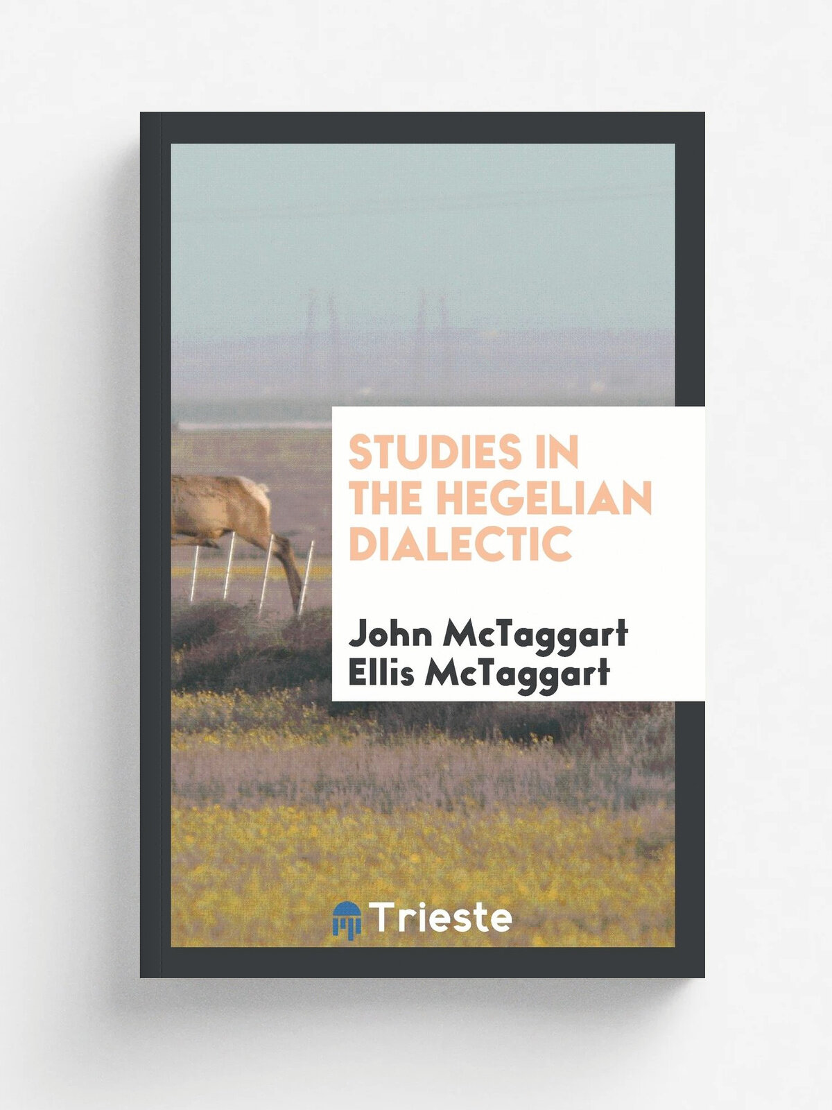 Studies in the Hegelian dialectic