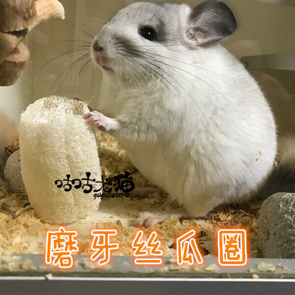 5 шт. льняных косточек толщиной 0.5 см для мелких грызунов: натуральные, без добавок, безопасные игрушки для грызания
