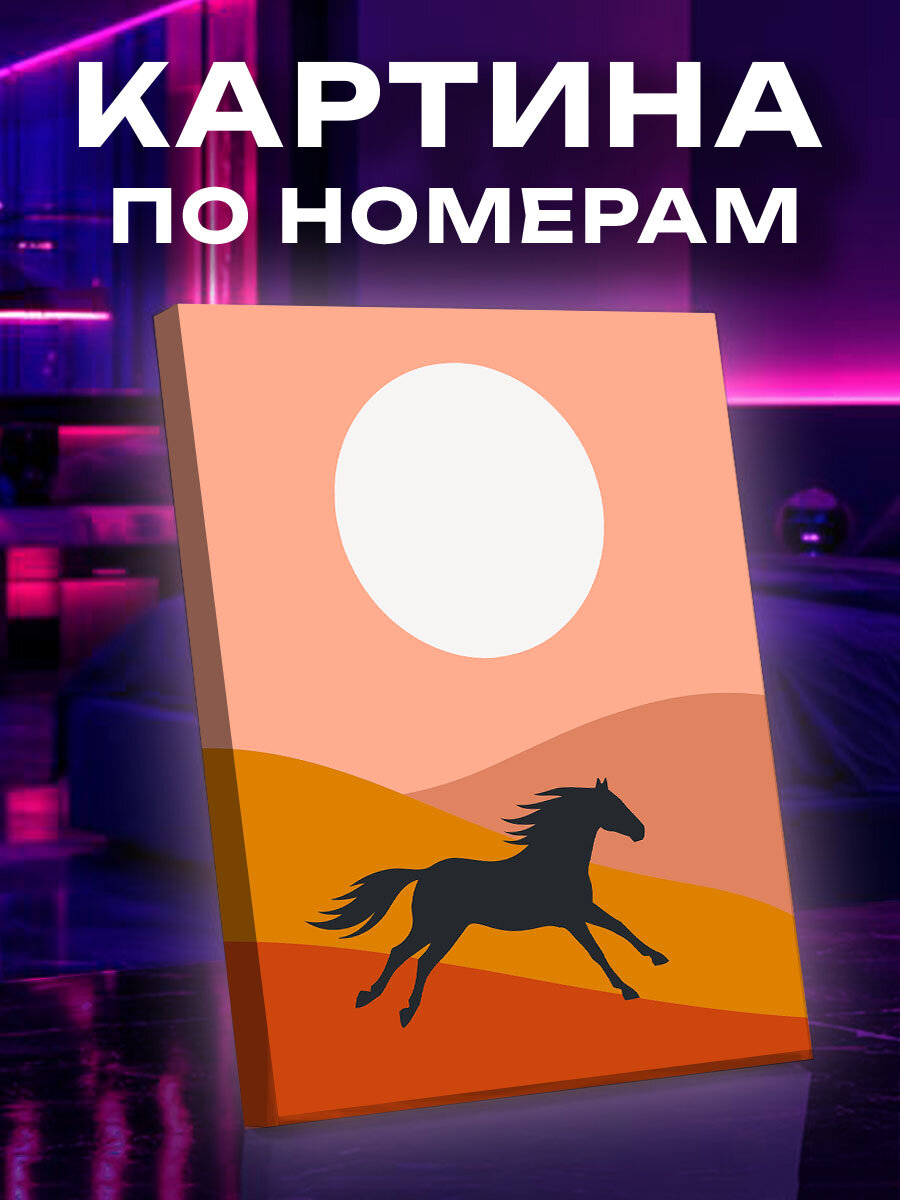 Картина по номерам Чёрная лошадь над дюнами