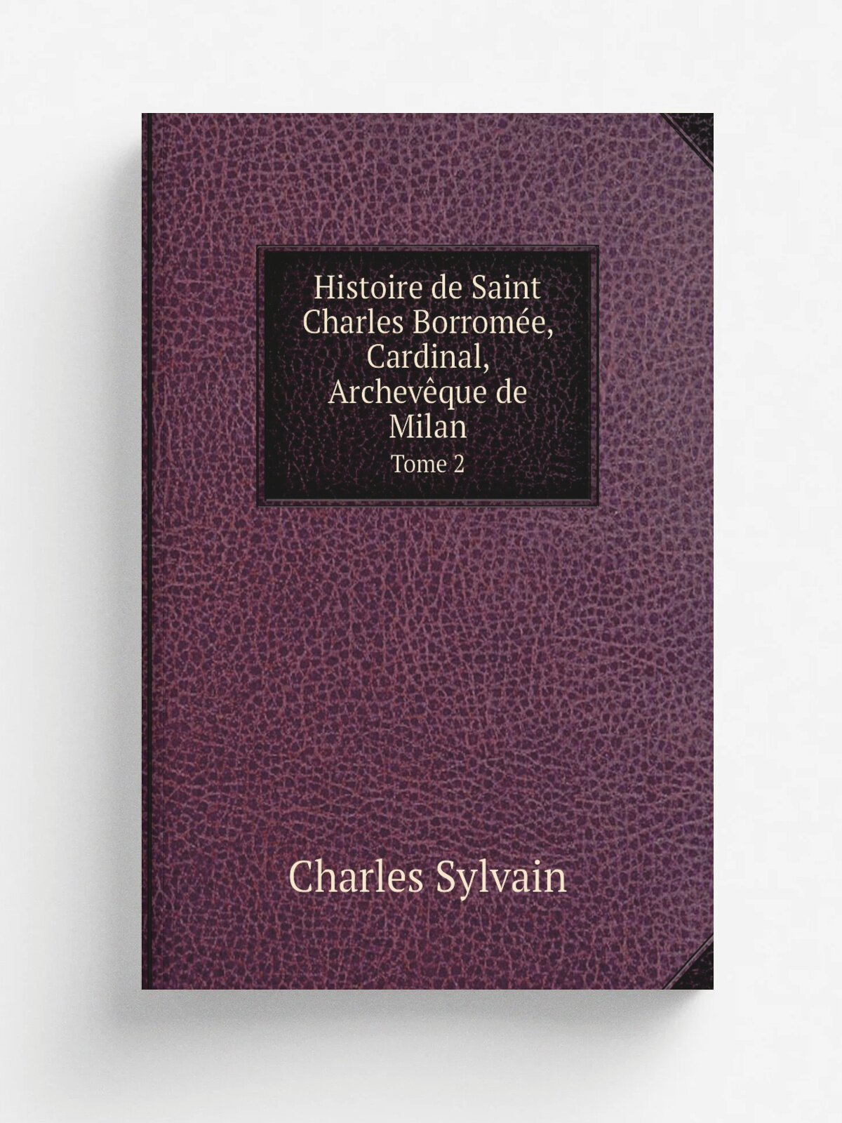 Histoire de Saint Charles Borrom.e, Cardinal, Archev.que de Milan. Tome 2 | Charles Sylvain | 1884 | Lille : Soci.t. de Saint-Augustin, Descl.e, de B…