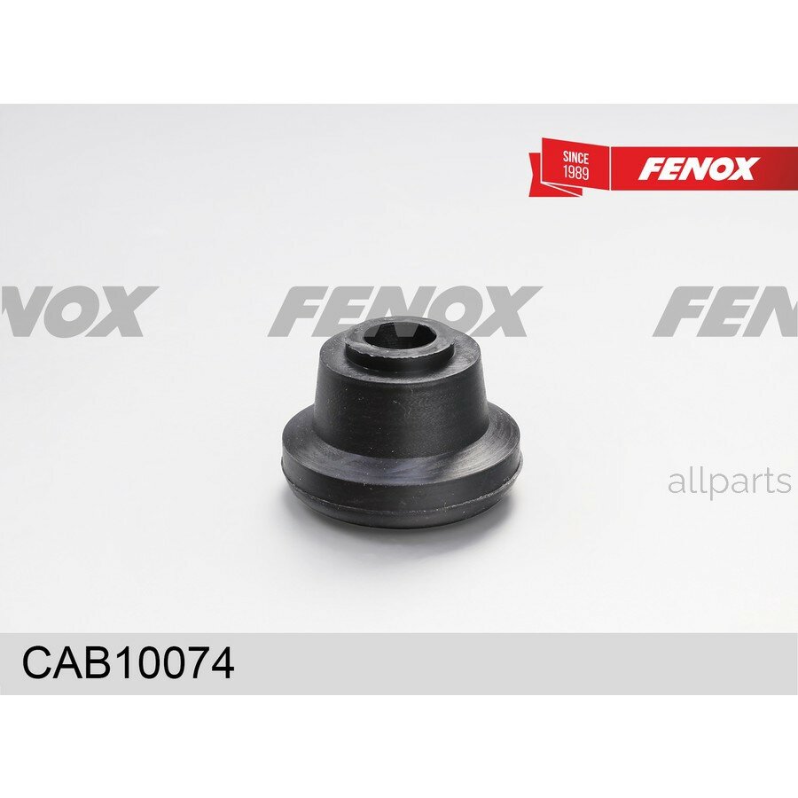 FENOX CAB10074 Сайлентблок переднего нижнего рычага