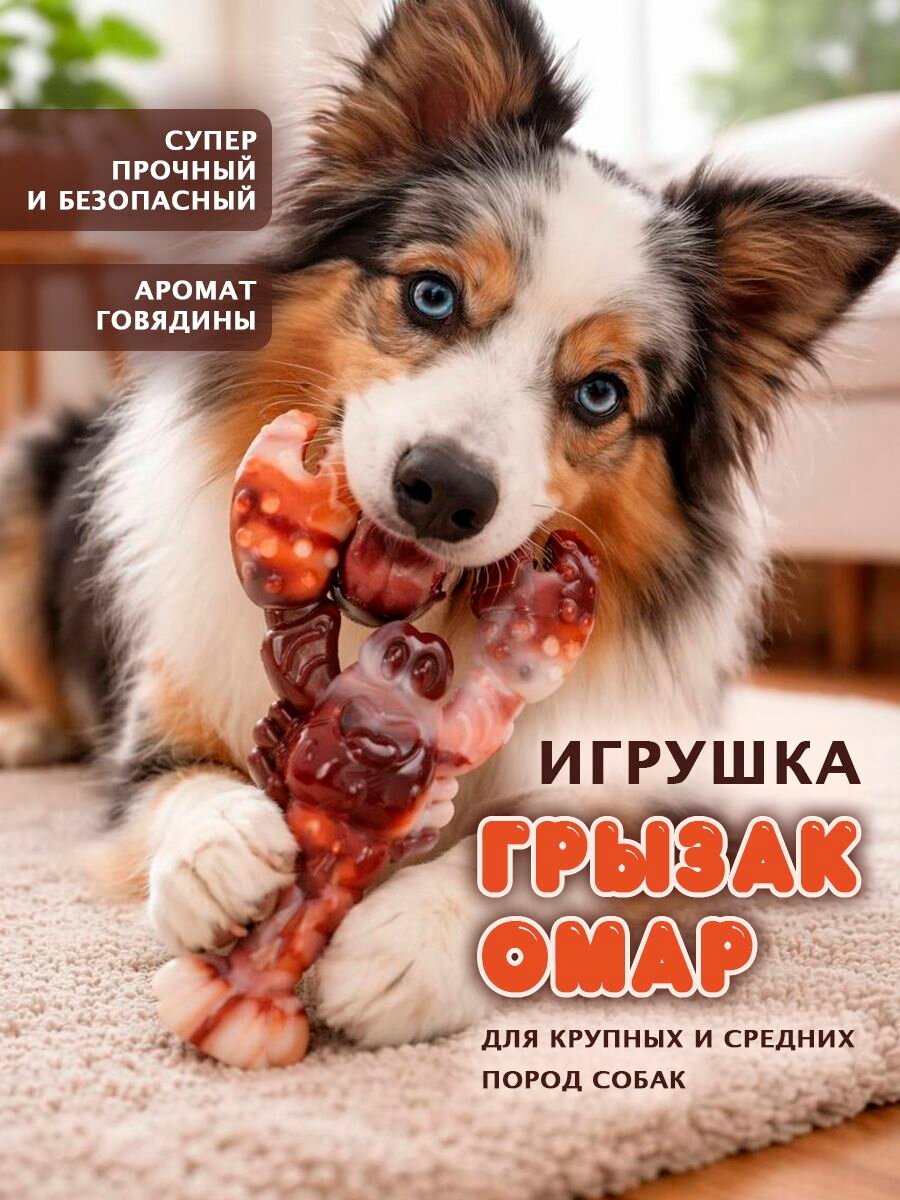 Прочная игрушка для собак, омар