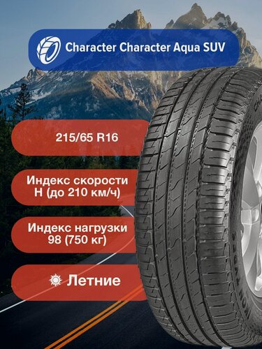Изображение товара Легковые Летние Шины Ikon Character Aqua SUV 215/65 R16 98H-T743124 для легковых автомобилей и кроссоверов