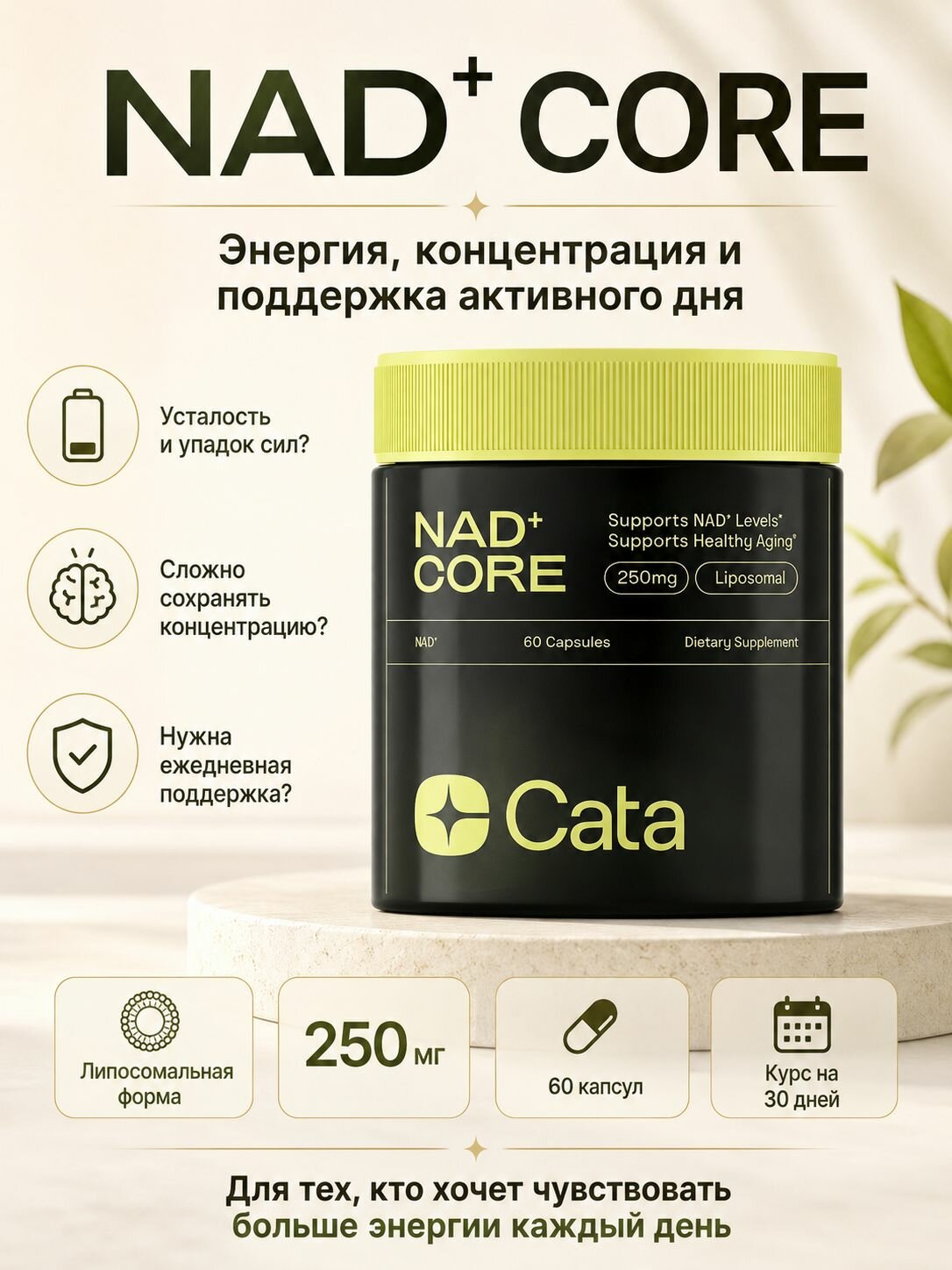 NAD+ 250mg: Капсулы для клеточной энергии и омоложения Поддержка Healthy Aging и восстановления ДНК 60 капсул Технология липосомальной доставки для максимального усвоения.