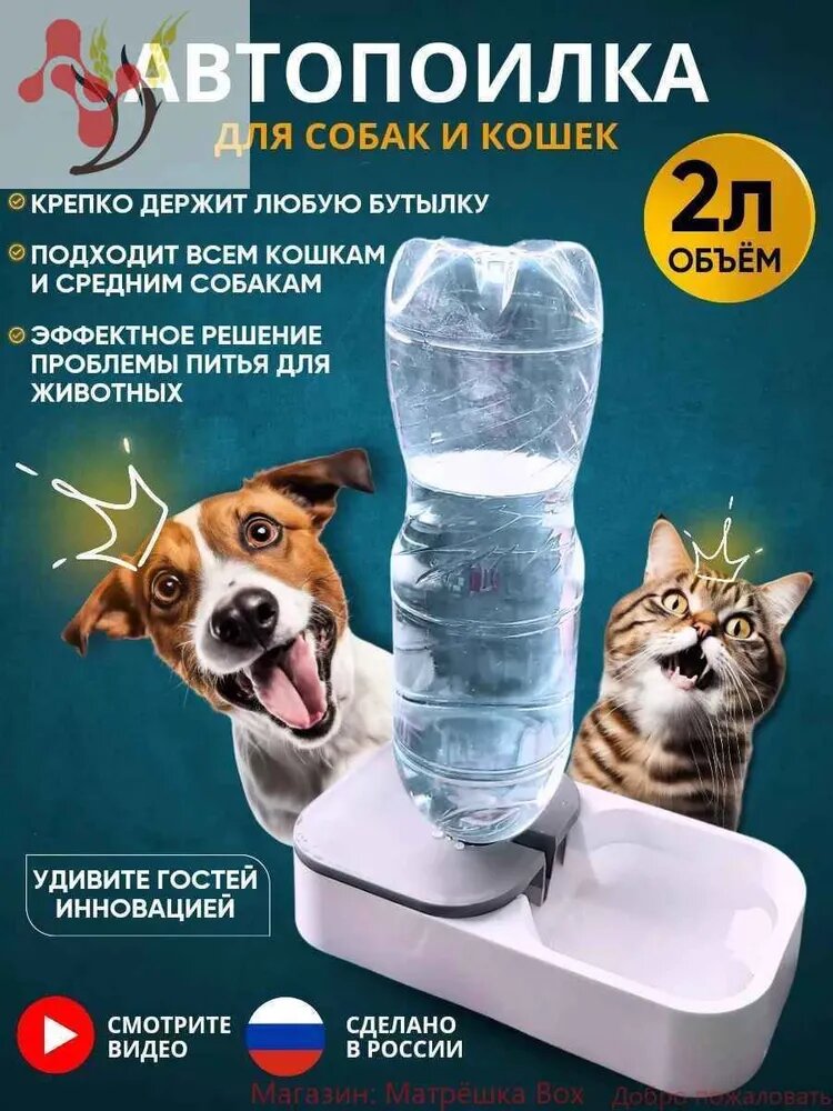 Автокормушка