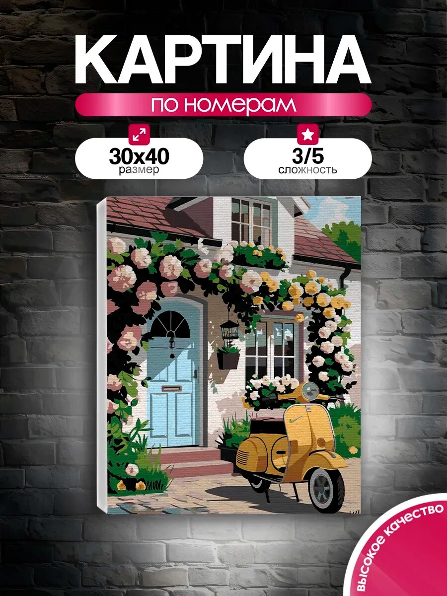 Картина по номерам 30x40 Скутер у дома в цветах