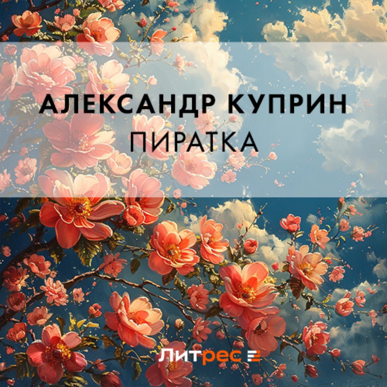 Пиратка [Аудиокнига]