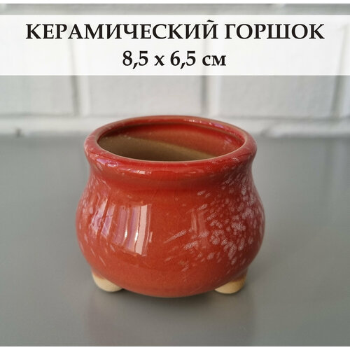 фото Керамический горшок для суккулентов и кактусов / керамический горшок для цветов white garden