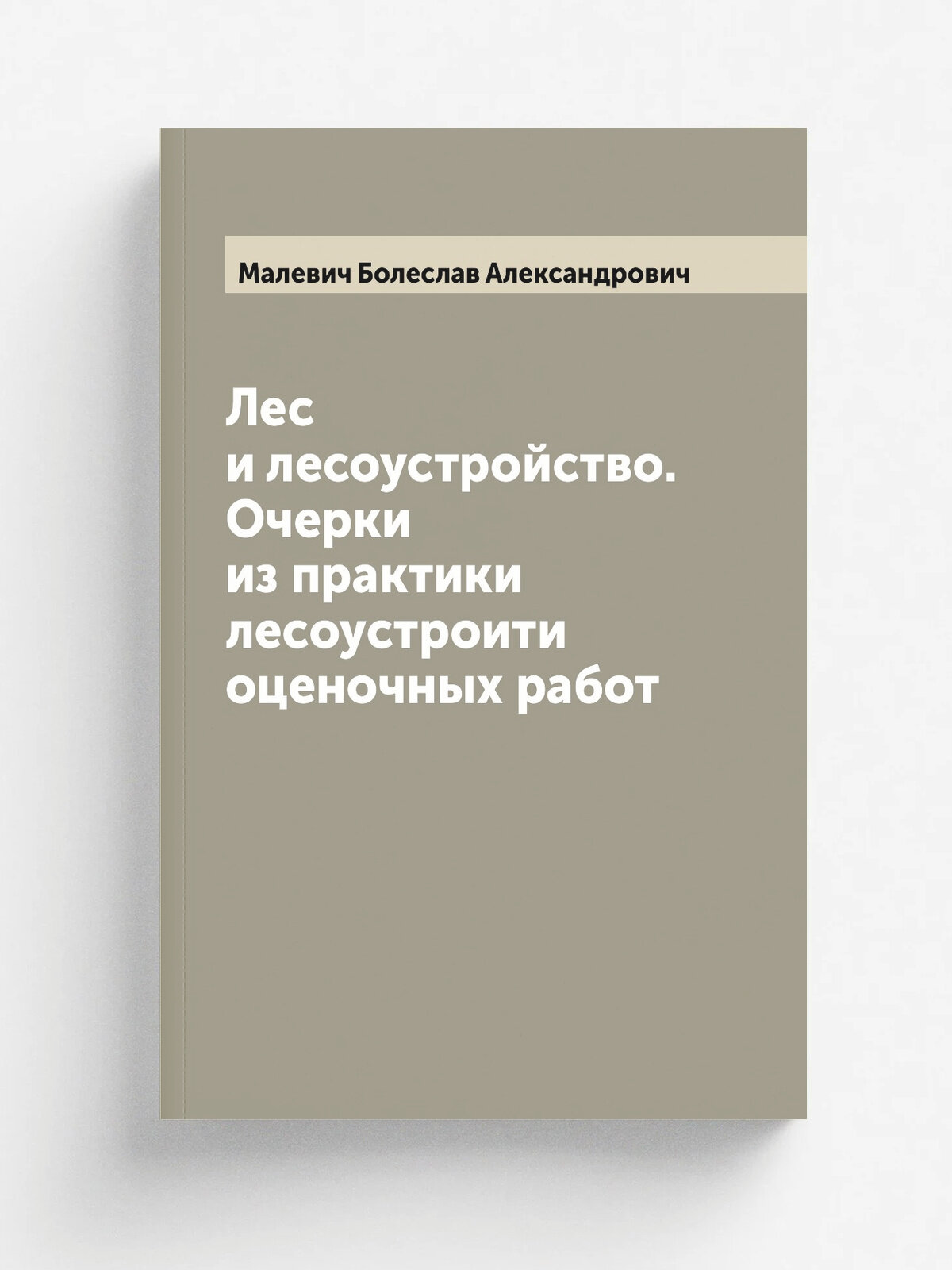 Лес и лесоустройство. Очерки из практики лесоустроити оценочных работ