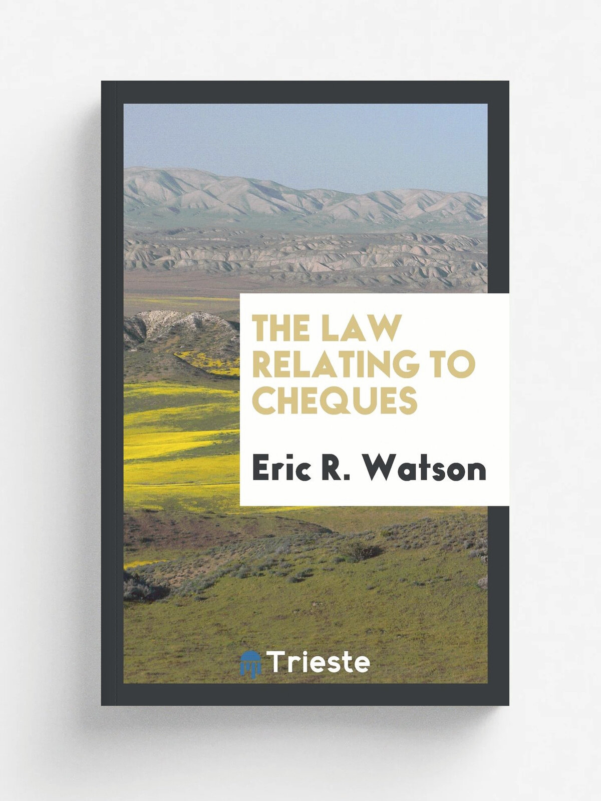 The Law Relating to Cheques