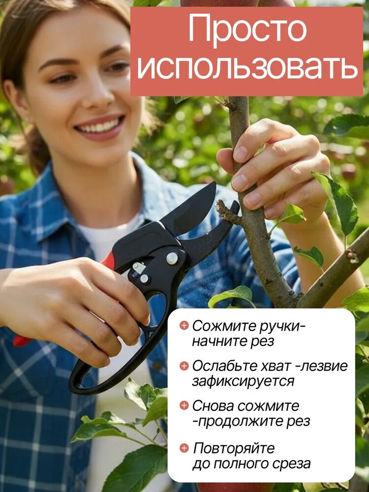 Секатор, Секаторы, Нержавеющая сталь, Ручные секаторы, высоторезы, сучкорезы — фото 1