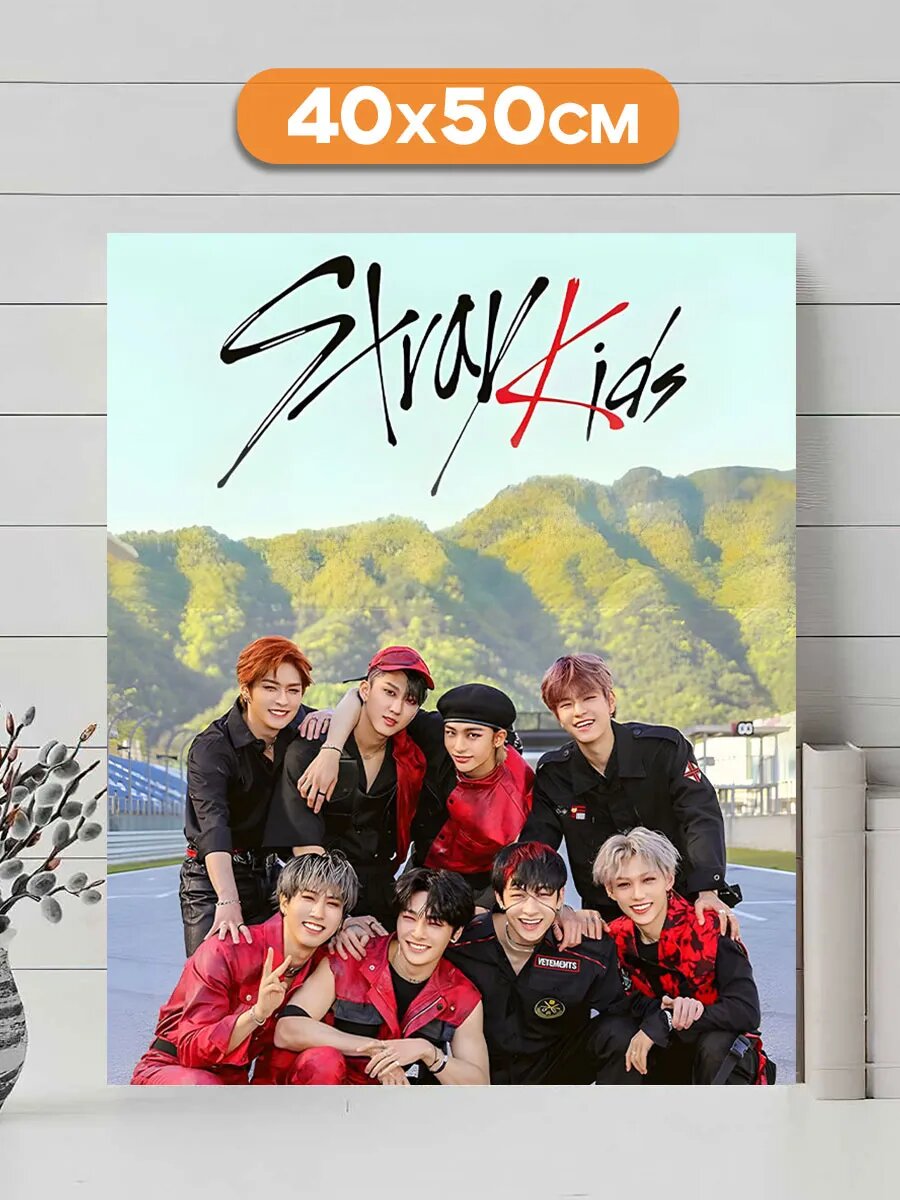 Картина интерьерная на стену для дома Stray Kids Стрей Кидс 40х50