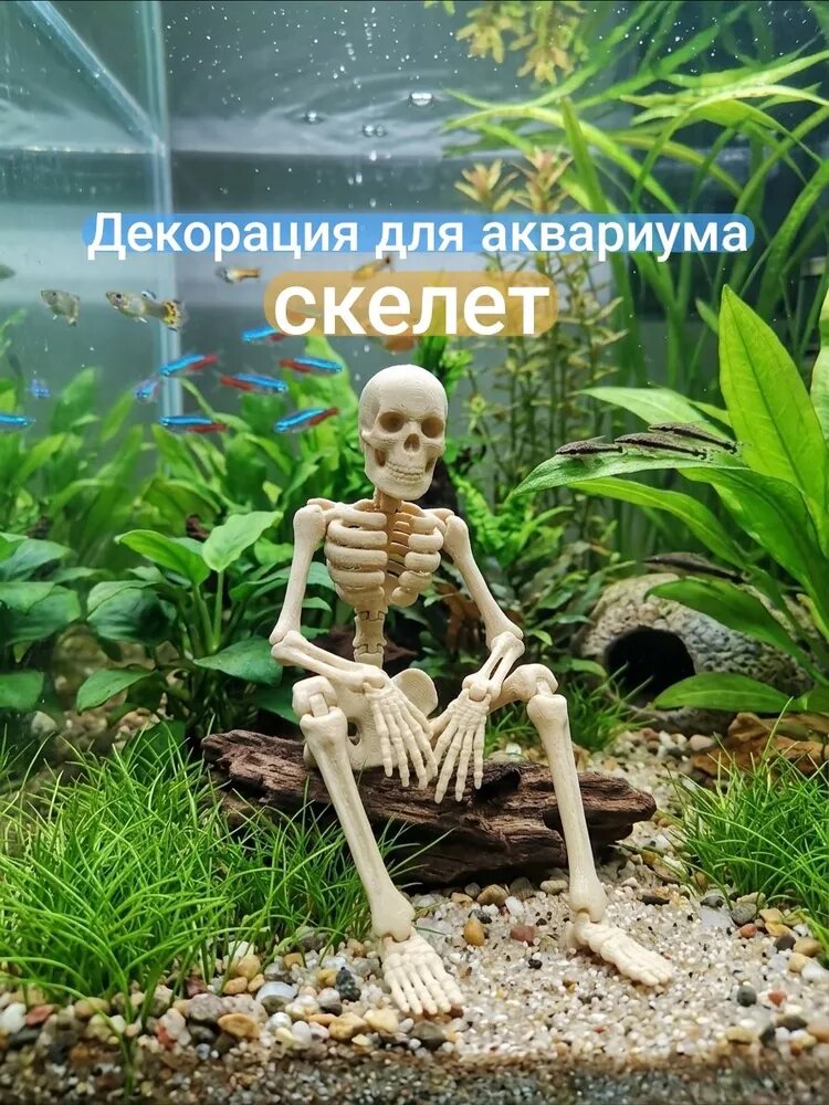 Скелет Декорация для аквариума или террариума цвет бежевый