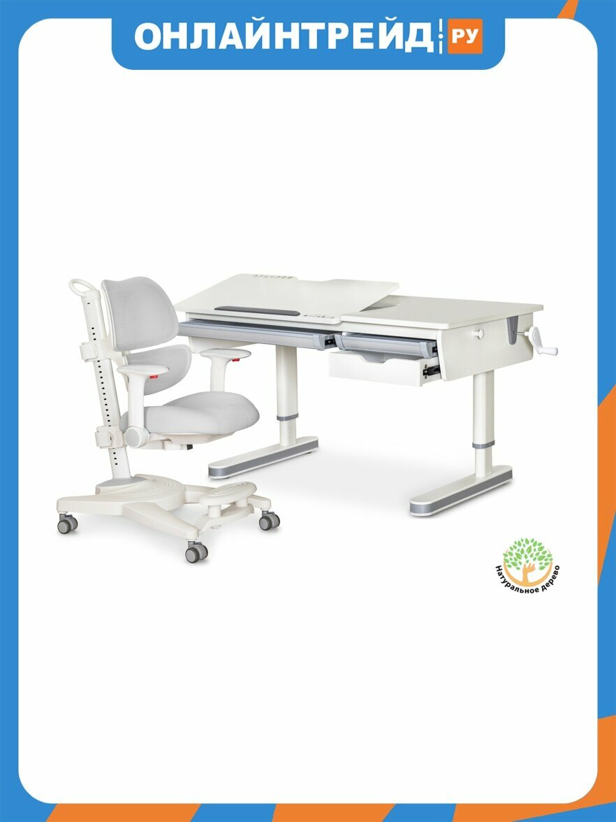 Комплект парта и кресло Ergokids Montreal 2 Lite G BD-670-2 MC/WG Lite + Y-609 G