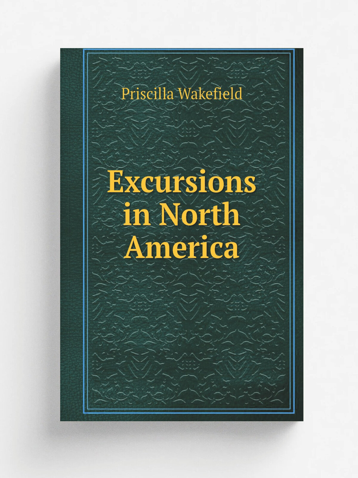 Excursions in North America | Priscilla Wakefield | 1806 | London : Printed and sold by Darton and Harvey . | Репринт