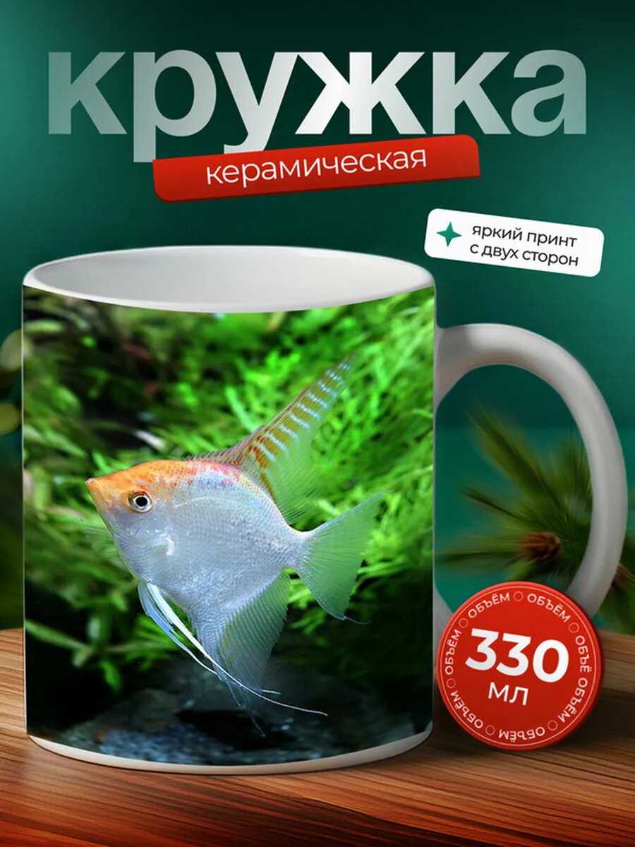 Кружка Рыба-ангел рыба 4,