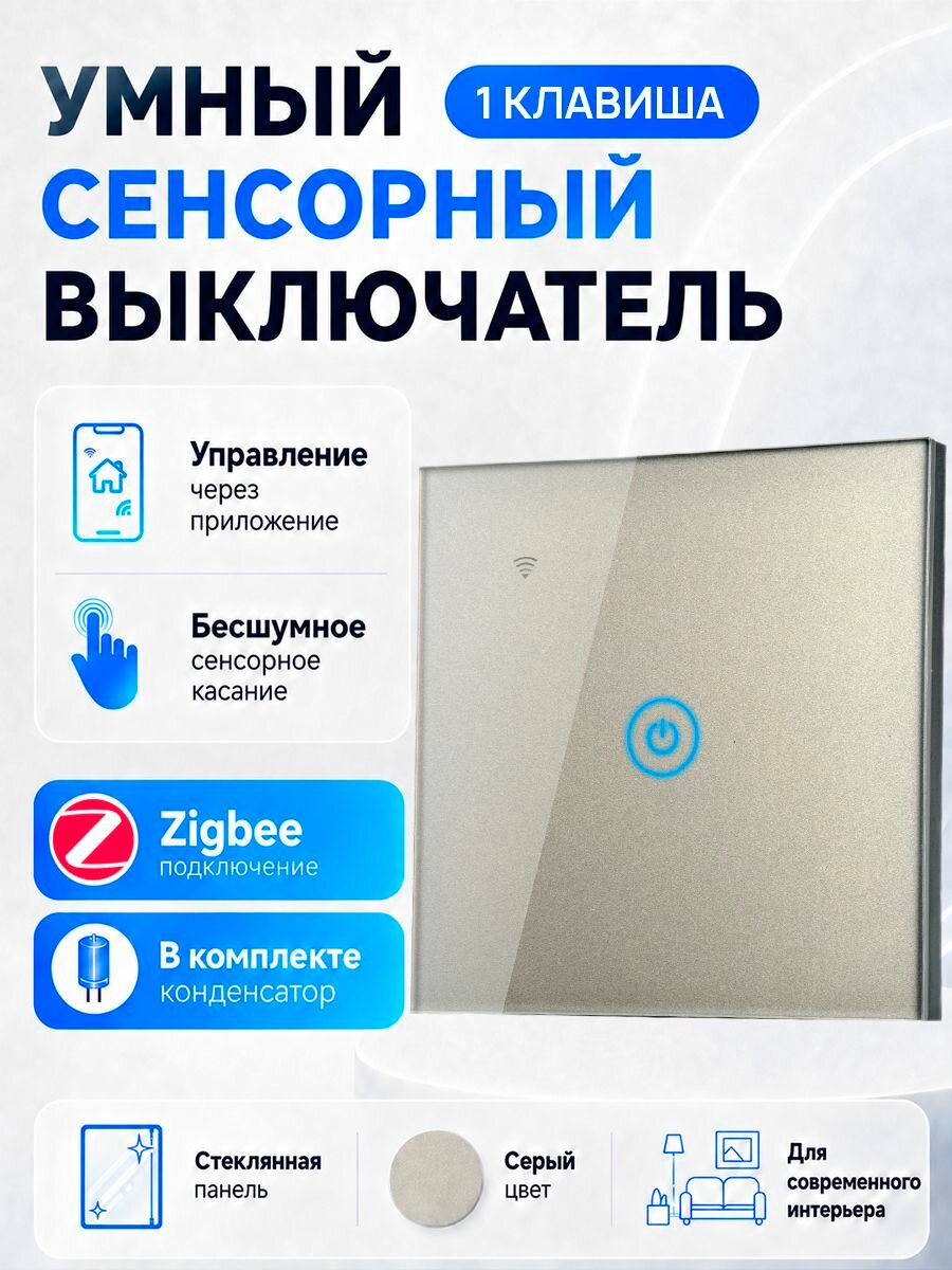 Сенсорный настенный выключатель света Zigbee SmartLife, 1 канал, серый (с конденсатором) SECTEC