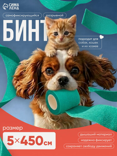 Изображение товара Бинт самофиксирующийся, 5 см, макс. растяжимость 4,5 м, зелёный