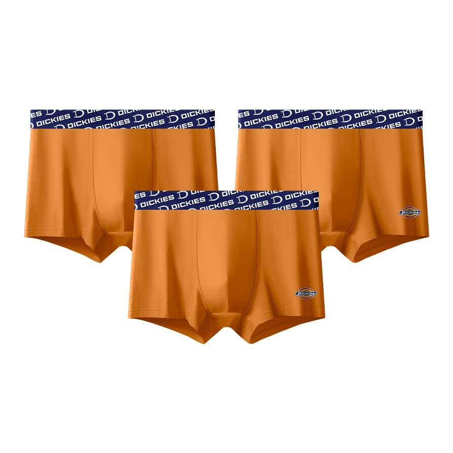 Трусы Dickies