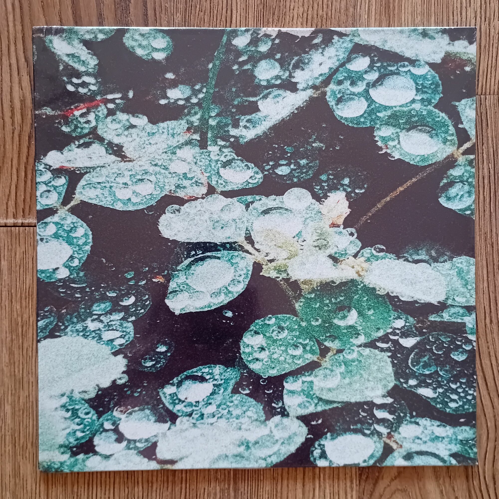 Виниловая пластинка Sadness - Rain Chamber (чёрно-зелёный сплит) LP