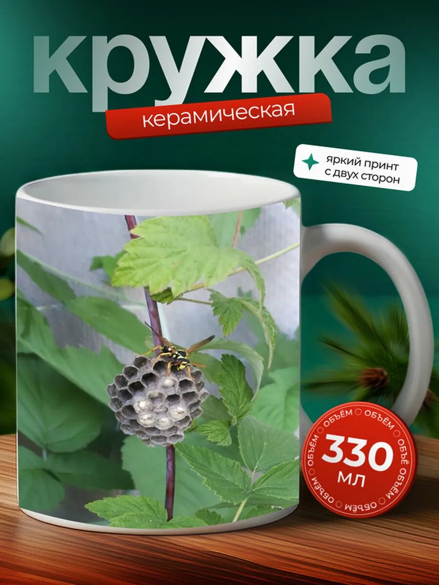 Кружка Оса насекомое 5,