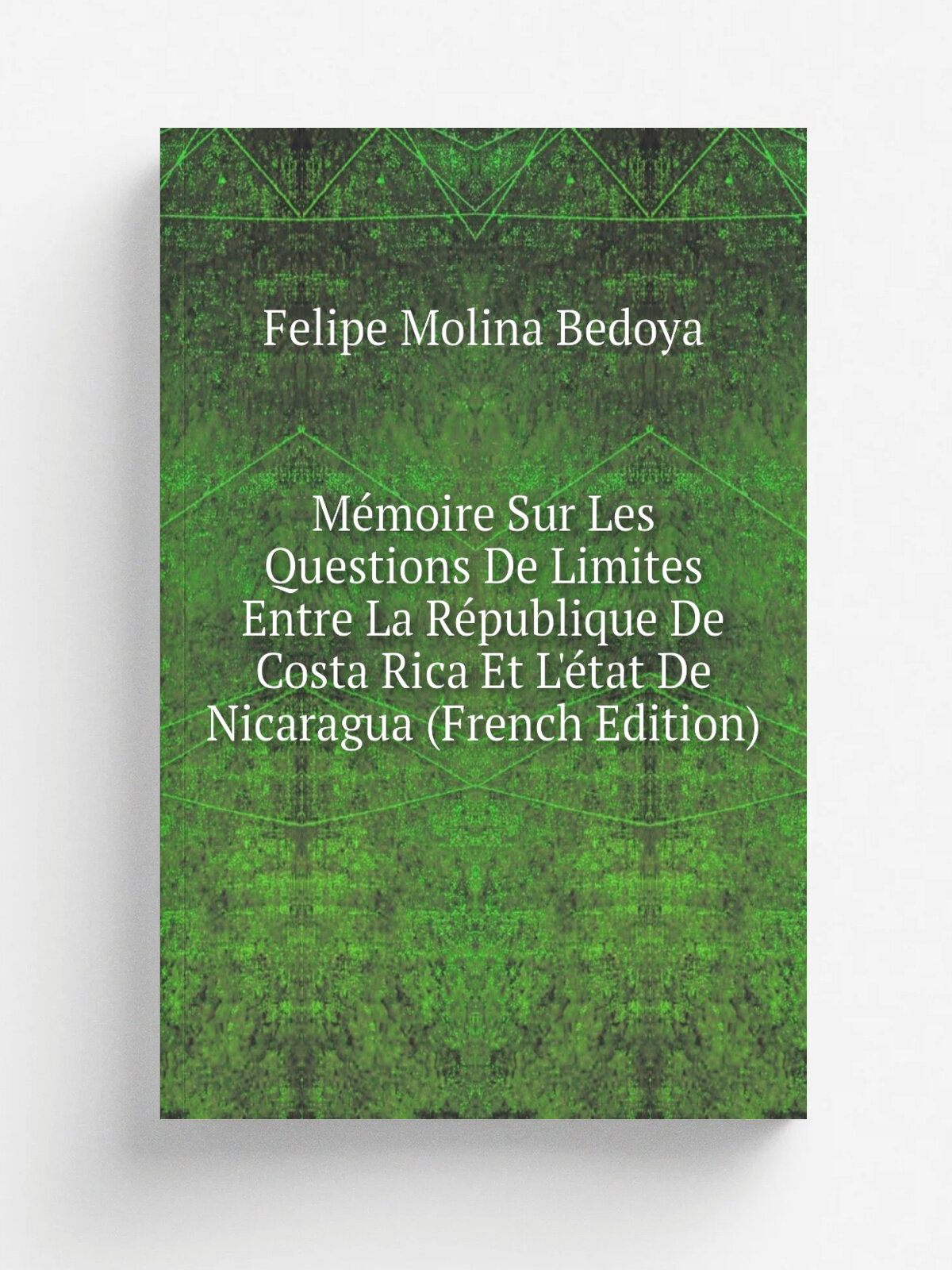 M.moire Sur Les Questions De Limites Entre La R.publique De Costa Rica Et L'. tat De Nicaragua (French Edition) | Felipe Molina Bedoya | Репринт