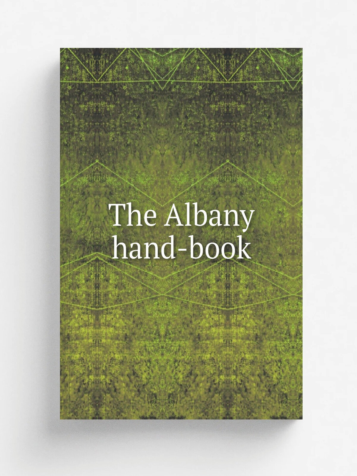 The Albany hand-book | Репринт