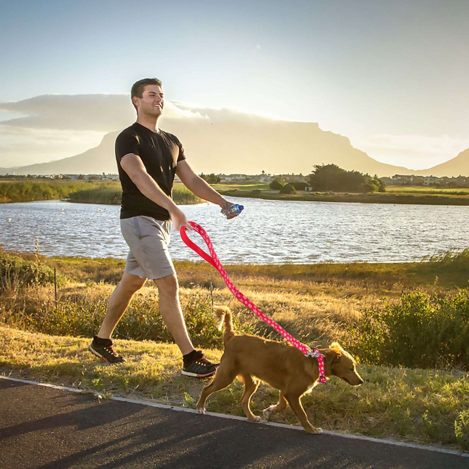 Ошейник и поводок на праздник для собак, со стильным рисунком, размер XL, из прочного материала